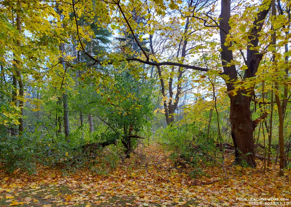 70255PeCrLe - Taking a break from work